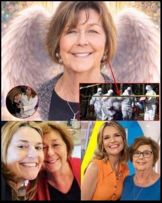 SAD NEWS! Savannah Guthrie has shared the most recent development regarding the search for her missing mother!