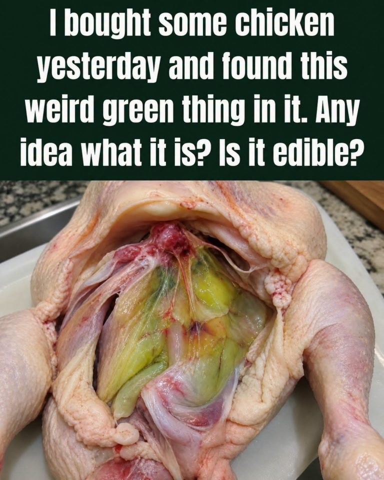 Green Meat in Chicken? Here’s What’s Really Going On